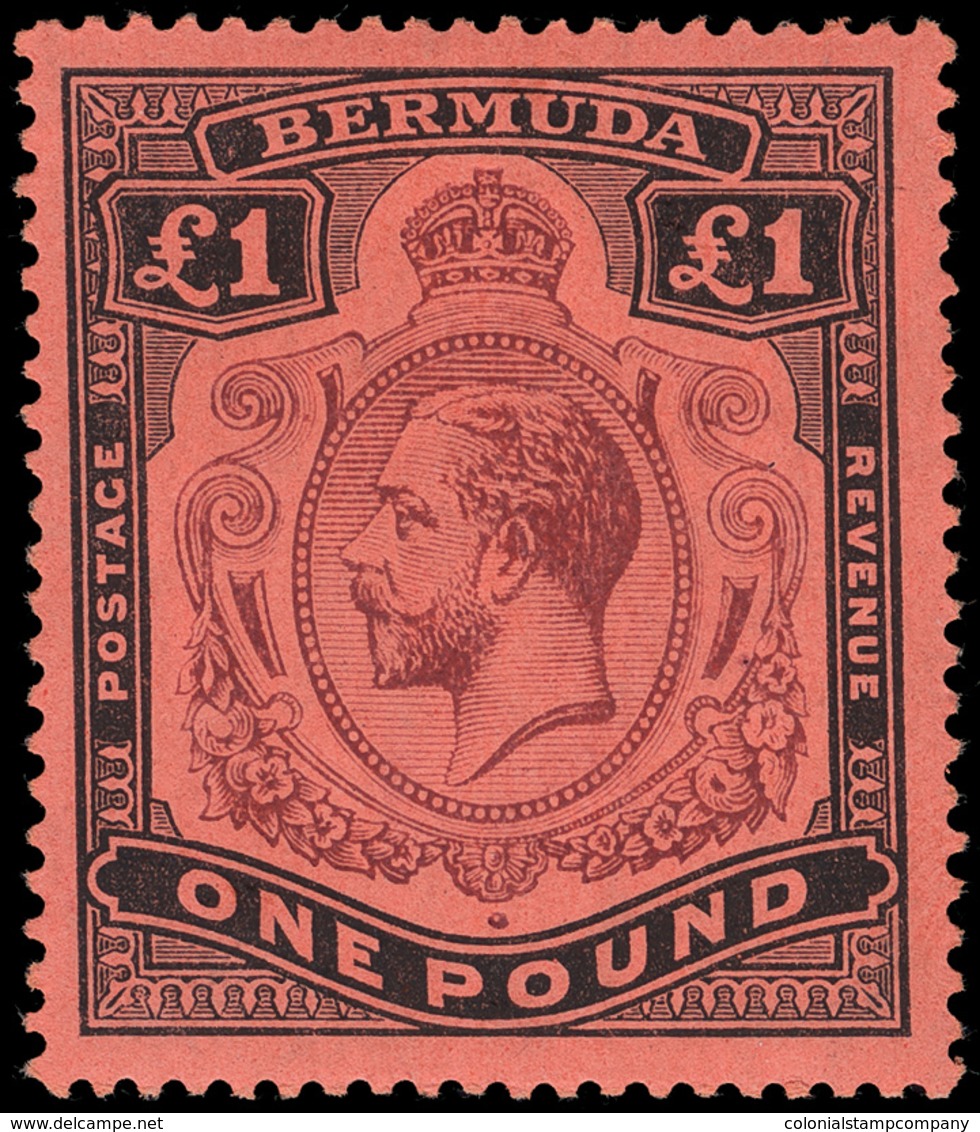 * Bermuda - Lot No.293 - Bermudas