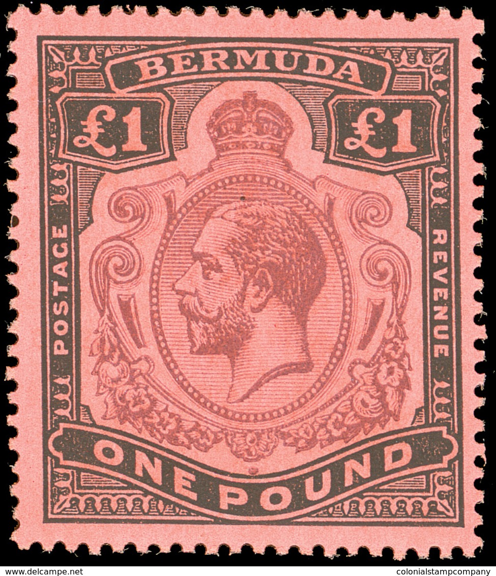 ** Bermuda - Lot No.294 - Bermudas