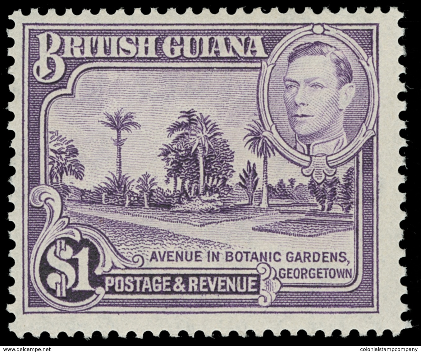 ** British Guiana - Lot No.364 - Guayana Británica (...-1966)