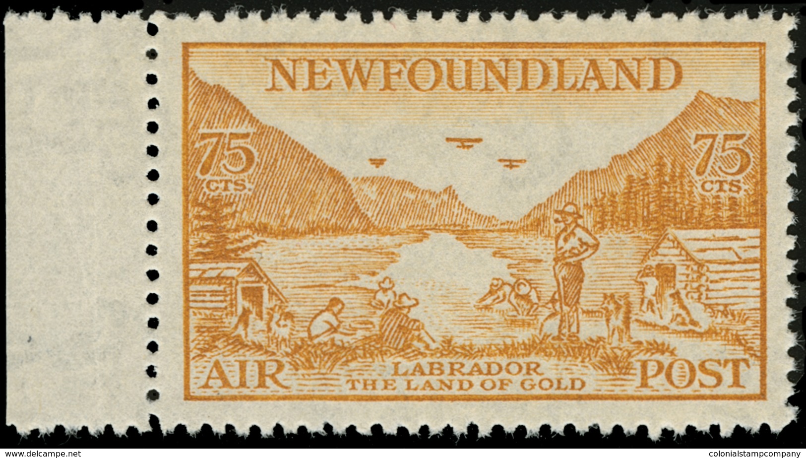 ** Canada / Newfoundland - Lot No.409 - Back Of Book