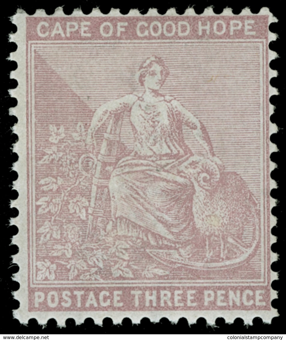 * Cape Of Good Hope - Lot No.480 - Kap Der Guten Hoffnung (1853-1904)