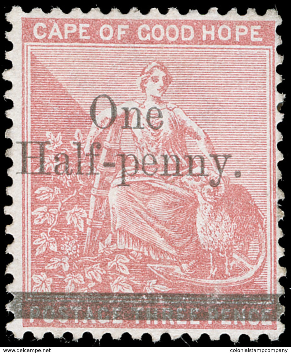 * Cape Of Good Hope - Lot No.482 - Cape Of Good Hope (1853-1904)