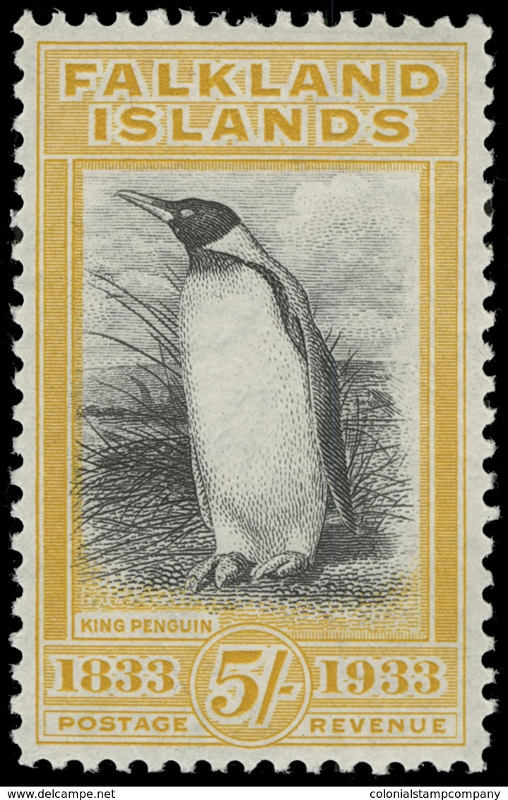 ** Falkland Islands - Lot No.581 - Falkland Islands