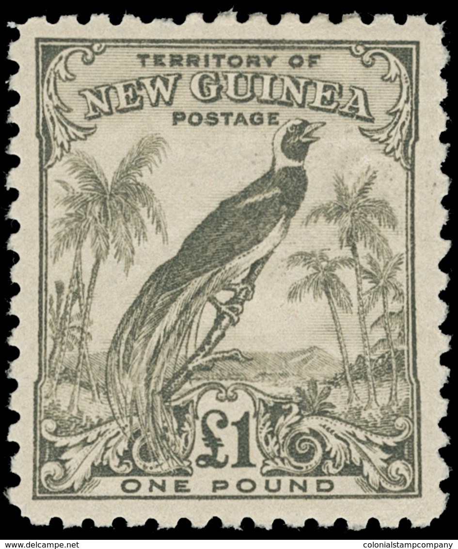 * New Guinea - Lot No.996 - Papouasie-Nouvelle-Guinée