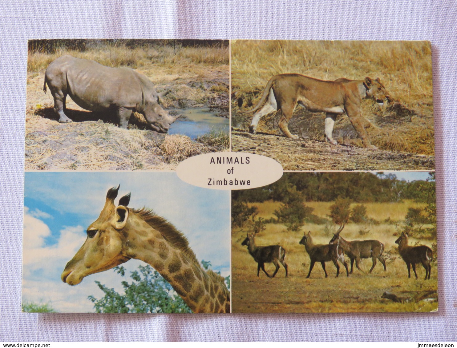 Zimbabwe 1980 Postcard "animals Giraffe Lion Gazelle Waterbuck" To England - Rhinoceros - Zimbabwe (1980-...)