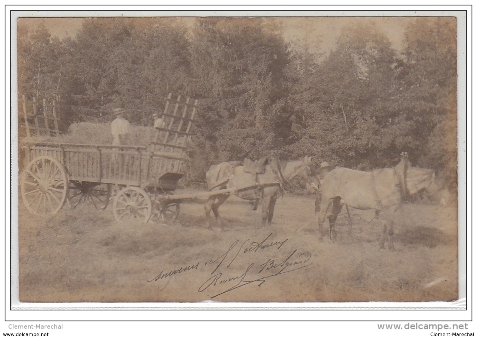 Environs De BLAISE : Carte-photo - Très Bon état - Sonstige & Ohne Zuordnung