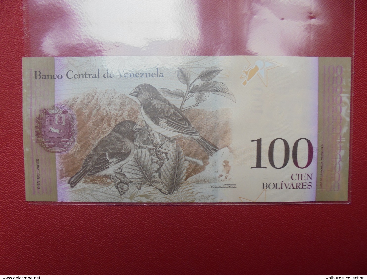 VENEZUELA 100 BOLIVARES 2015 PEU CIRCULER/NEUF - Venezuela