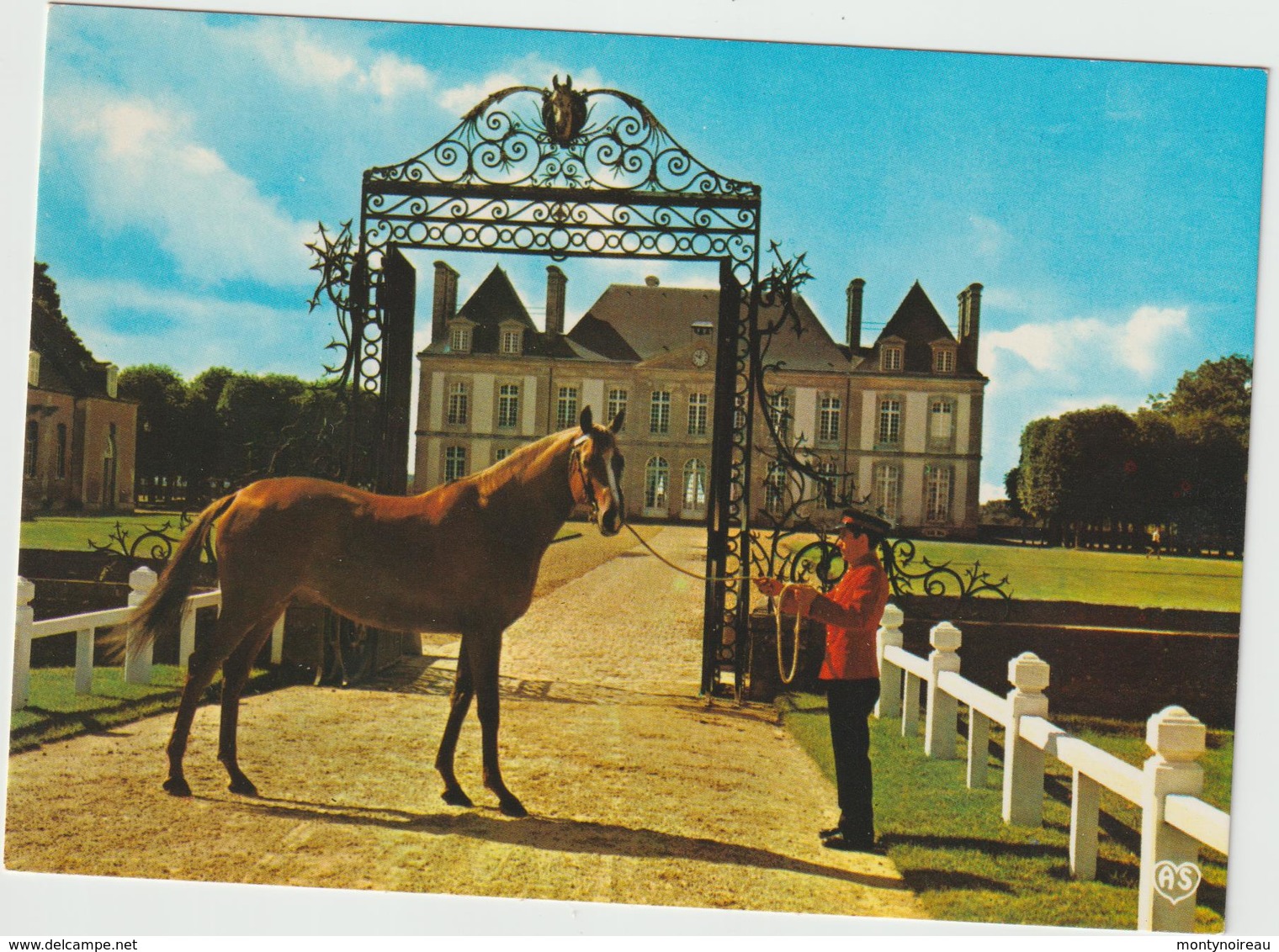 Orne : LE HARAS  Du  PIN :  Cheval , étalon  Pur  Sang   Anglais   " Carmathen  " - Other & Unclassified