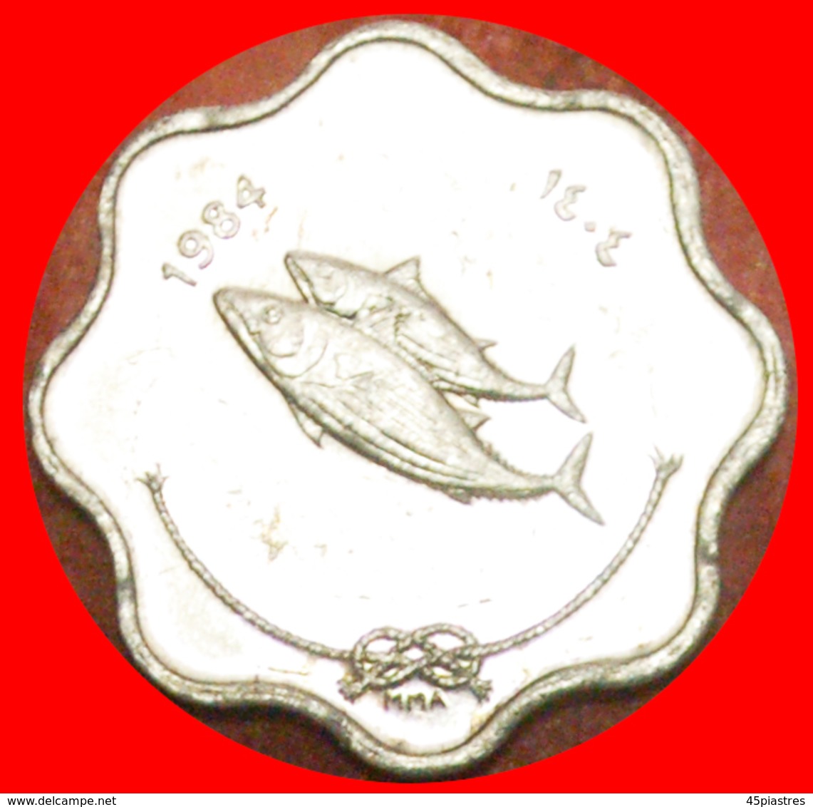 + GREAT BRITAIN: MALDIVES ★ 5 LAARI 1404 1984 FAO FISH MINT LUSTER! LOW START ★ NO RESERVE! - Malediven