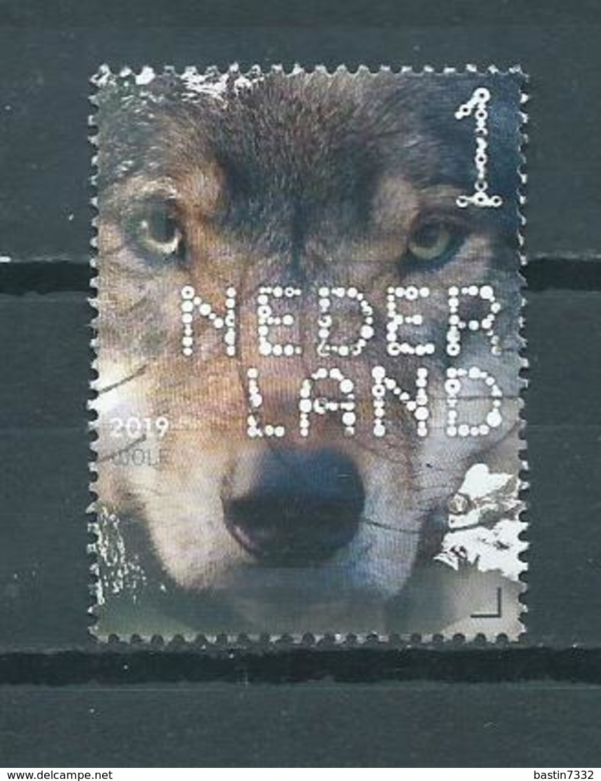 2019 Netherlands Animals,wolf Used/gebruikt/oblitere - Gebruikt
