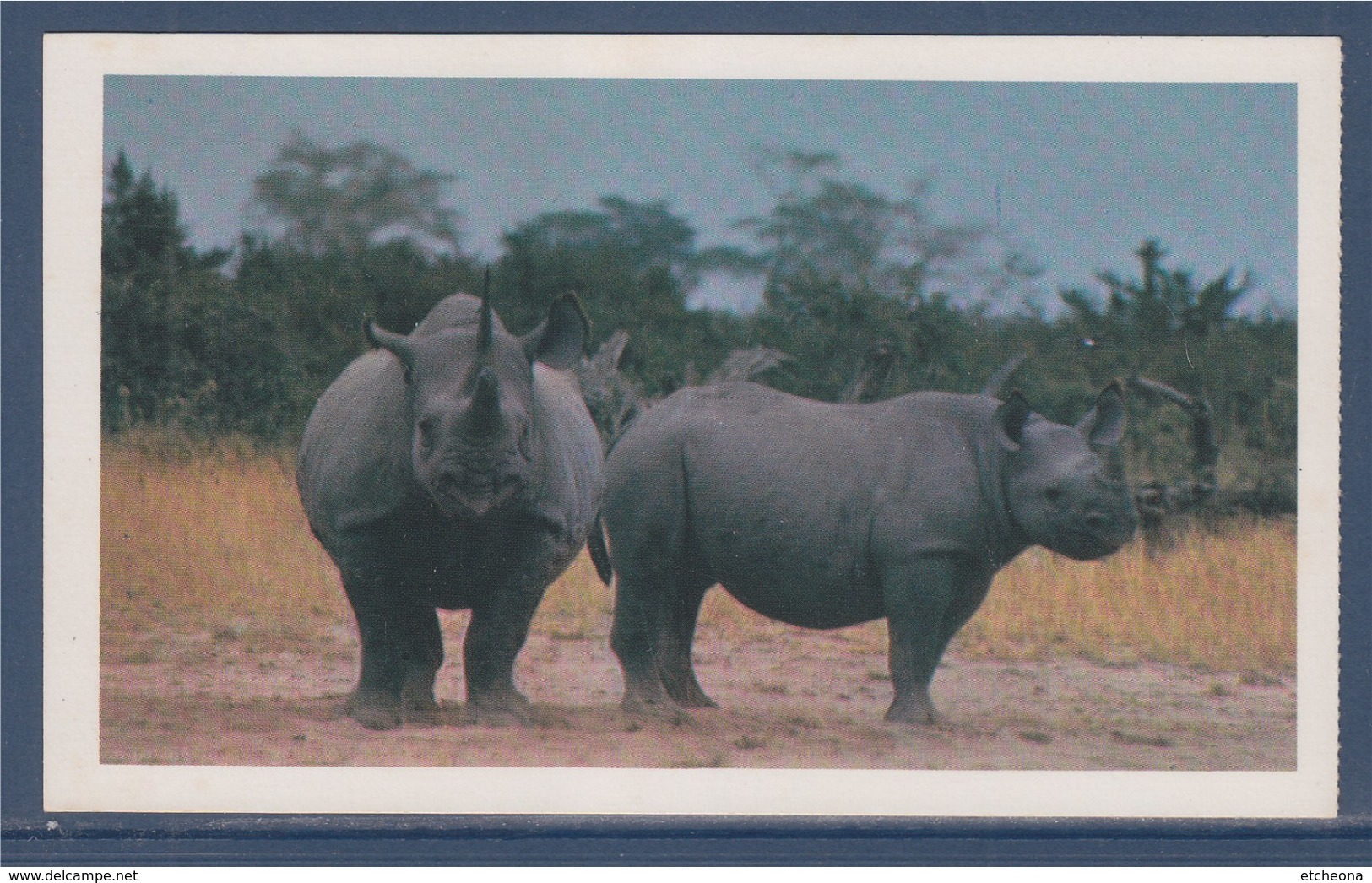 = Rhinocéros, 2, Safari Prisunic - Rhinoceros