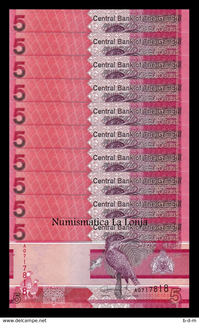 Gambia Lot Bundle 10 Banknotes 5 Dalasis 2019 Pick New SC UNC - Gambia