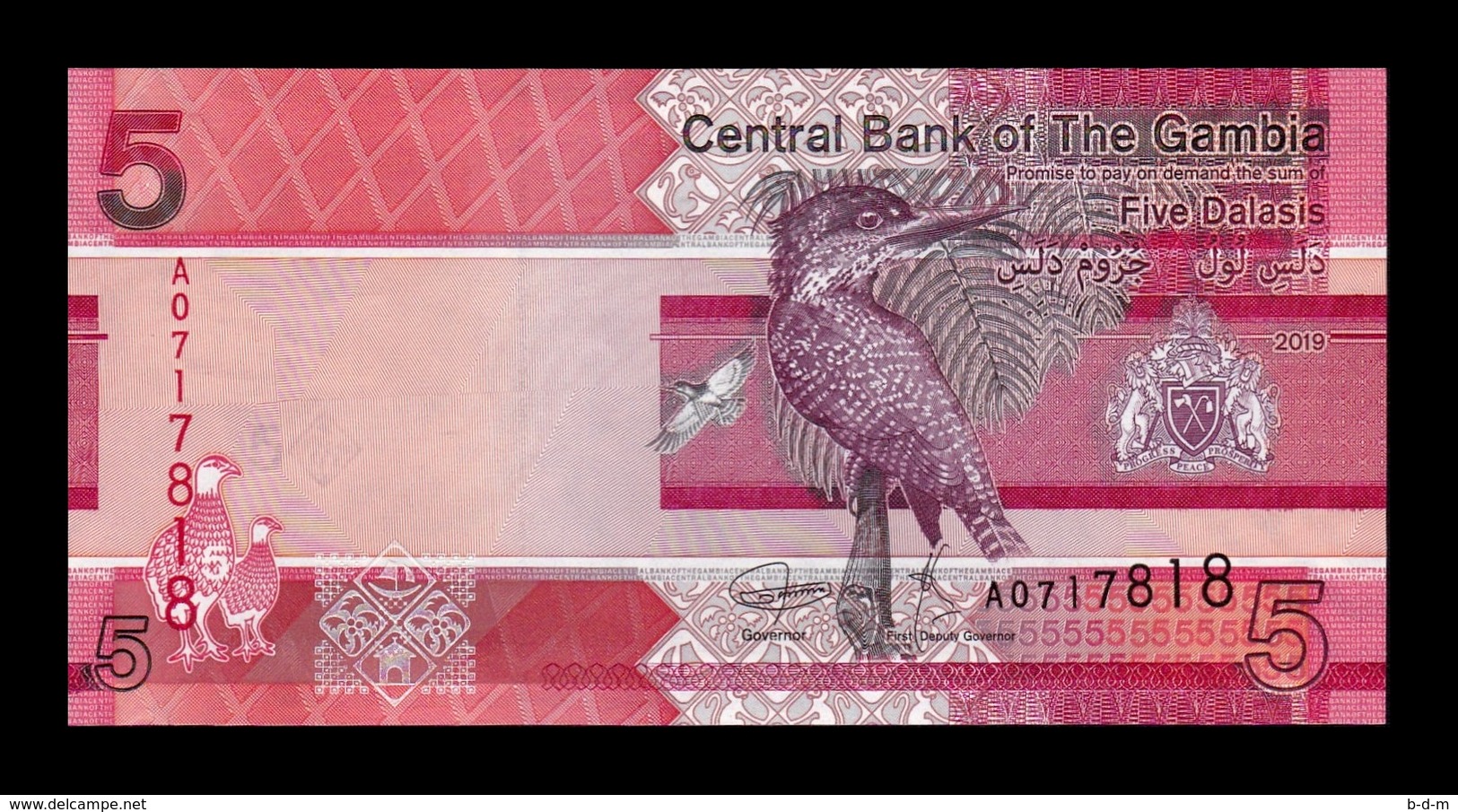 Gambia Lot Bundle 10 Banknotes 5 Dalasis 2019 Pick New SC UNC - Gambia