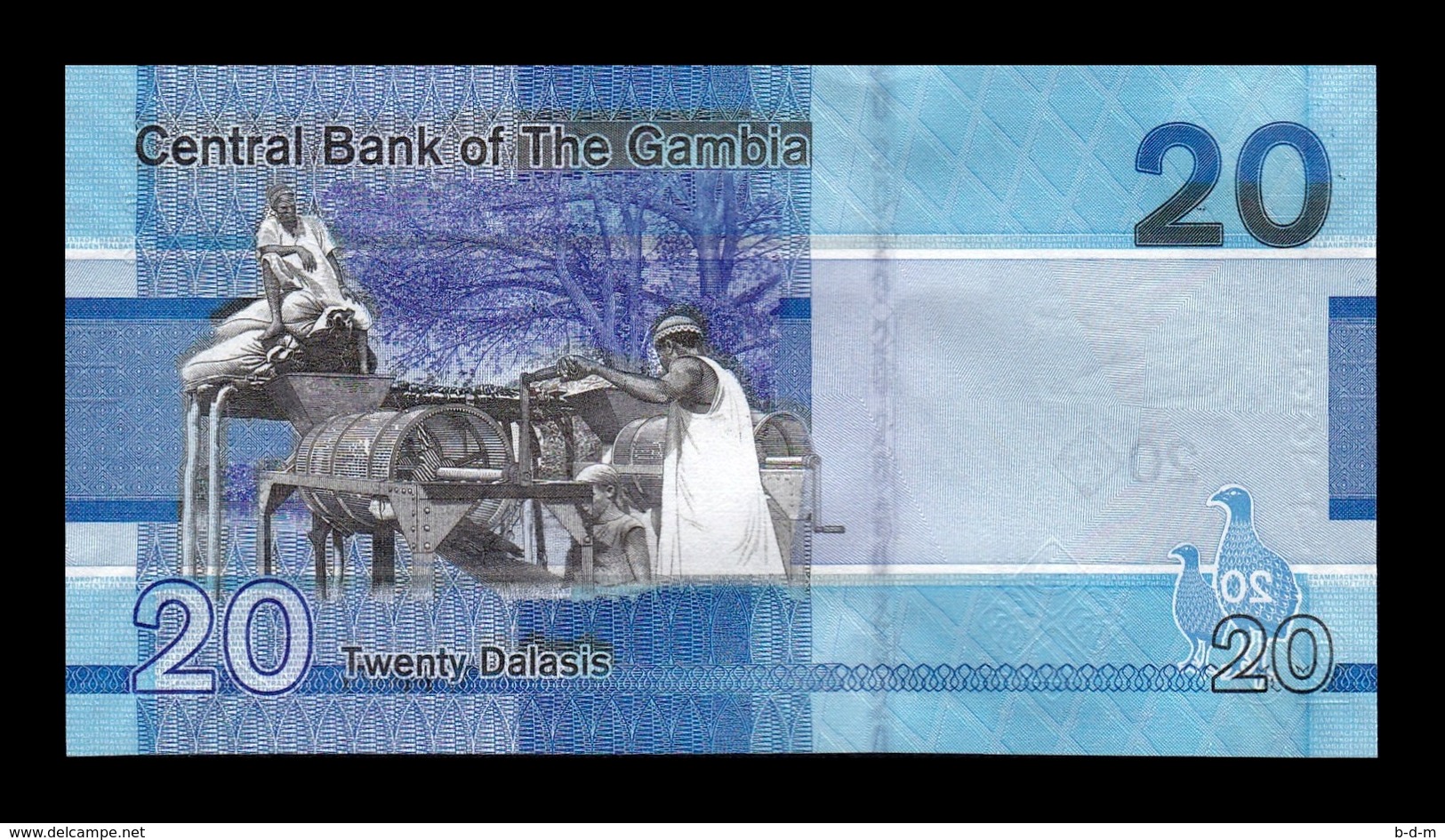 Gambia Lot Bundle 10 Banknotes 20 Dalasis 2019 Pick New SC UNC - Gambie