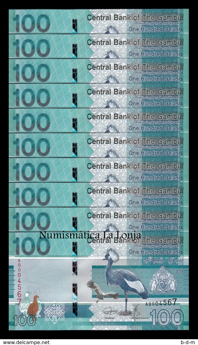 Gambia Lot Bundle 10 Banknotes 100 Dalasis 2019 Pick New SC UNC - Gambia