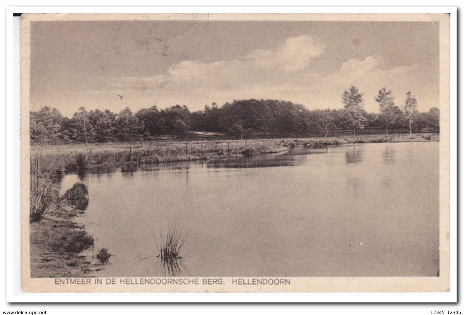 Hellendoorn, Entmeer In De Hellendoornsche Berg - Hellendoorn