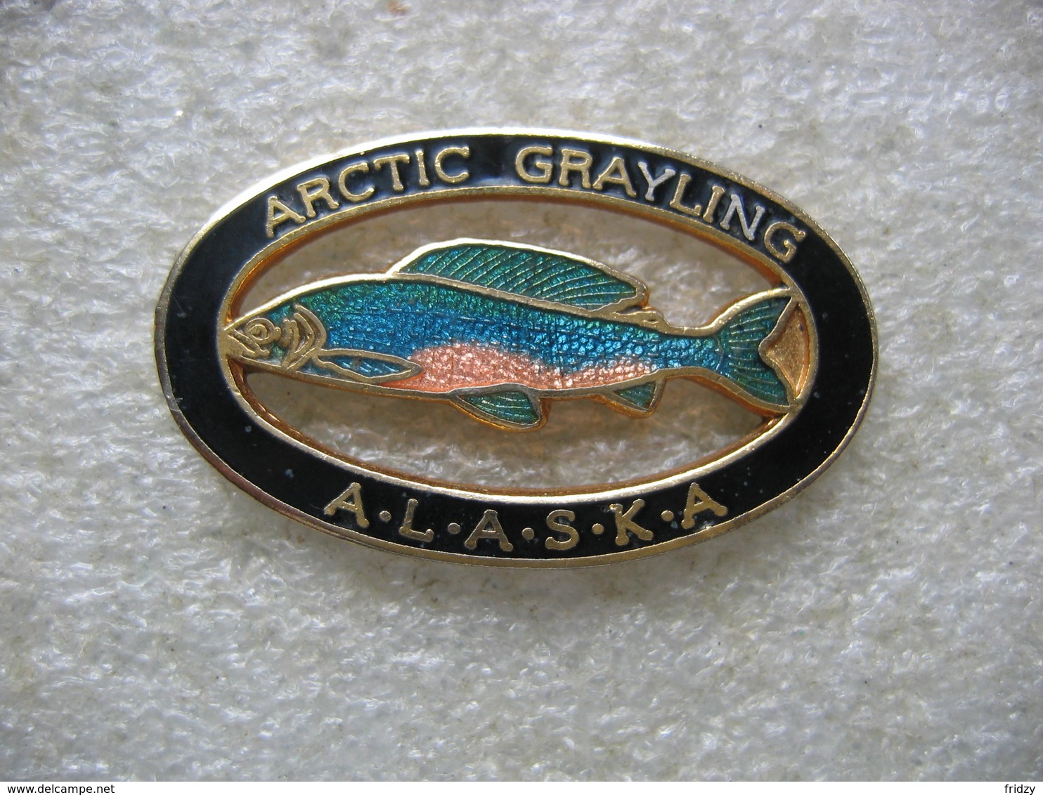 Pin's D'un Poisson De Belles Couleurs: Arctic Grayling En ALASKA - Animaux