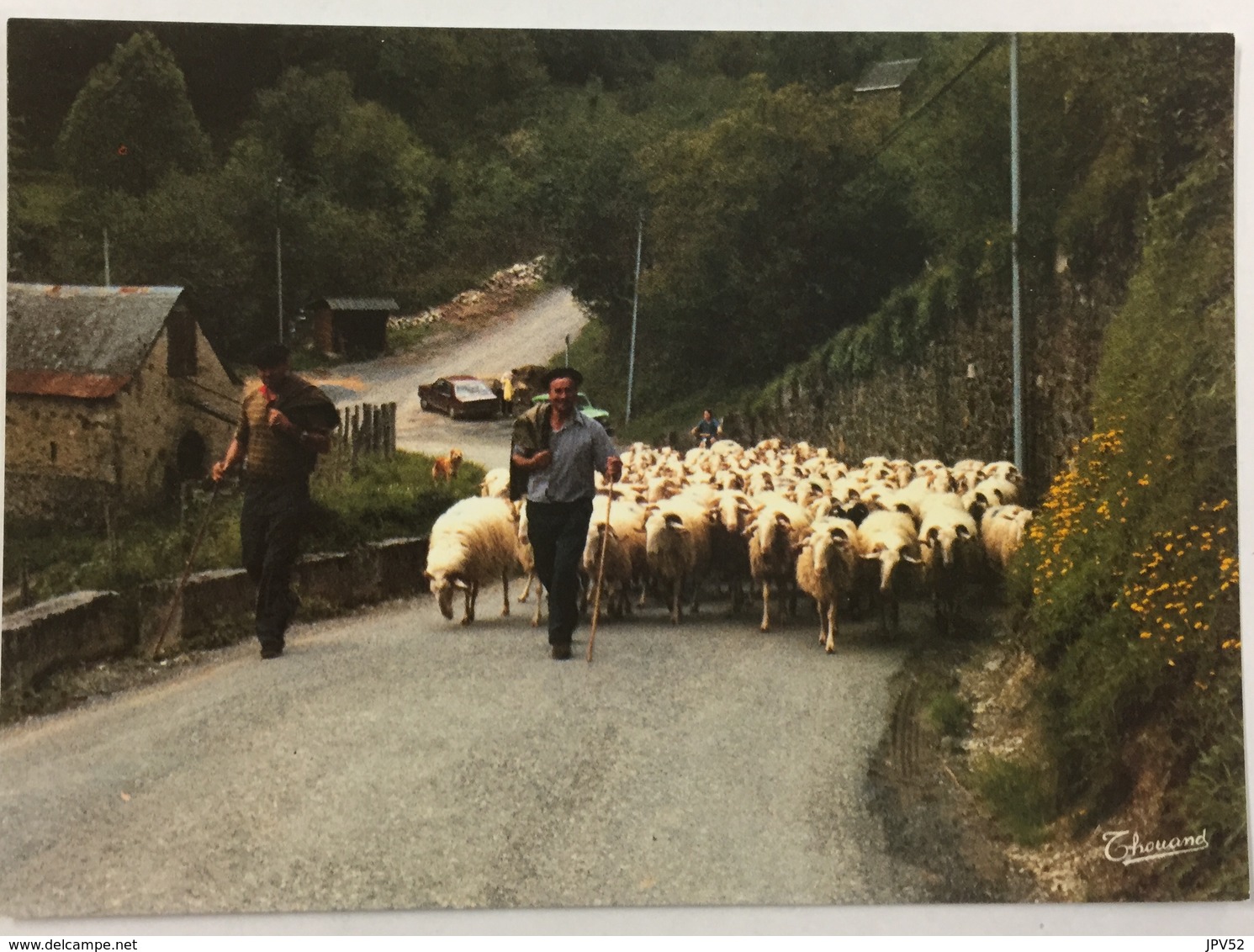 (819) Pyrénées - Troupeau De Brebis.- Schaapherders; - Autres