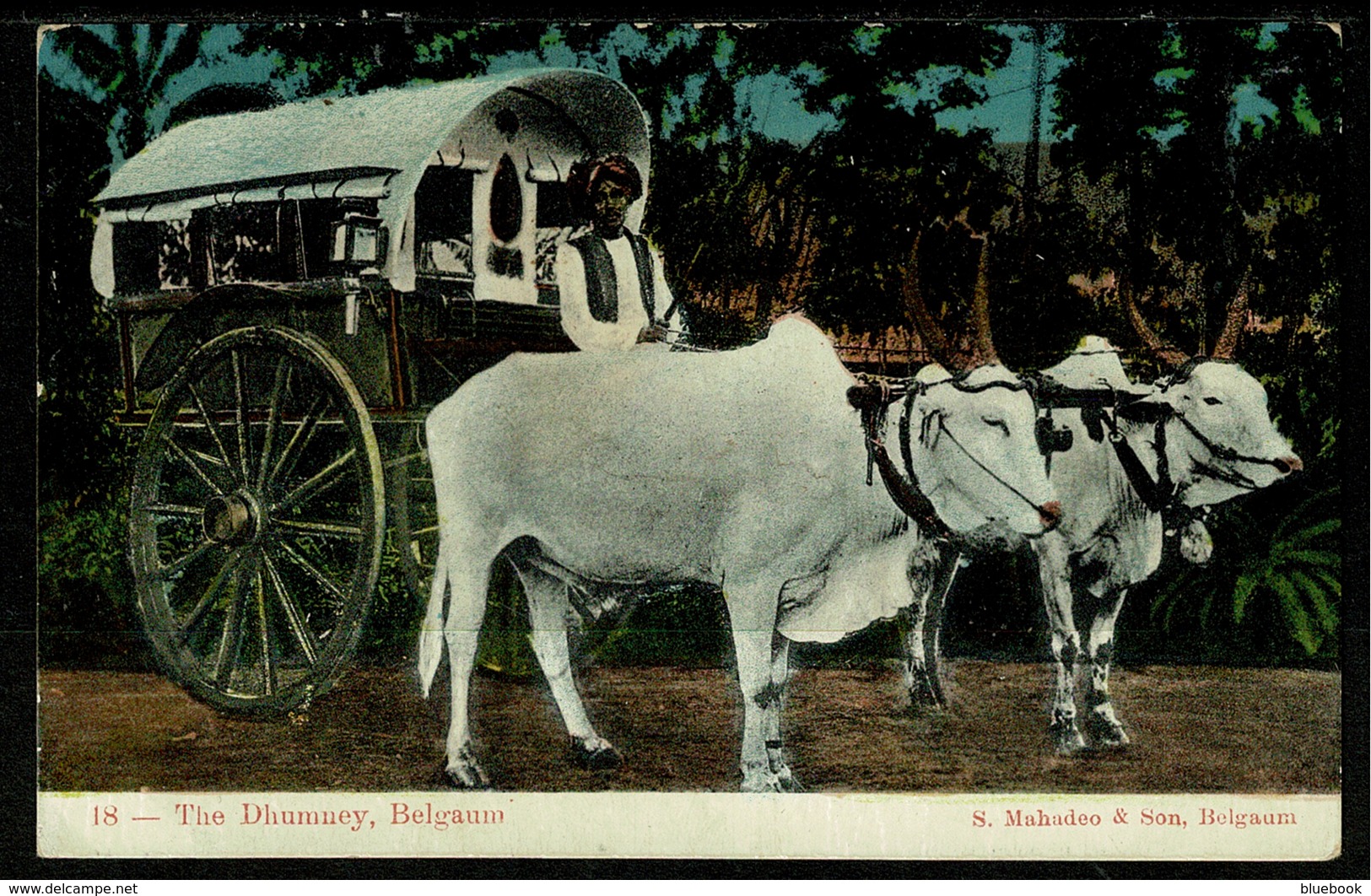 Ref 1322 - Early Ethnic Postcard - The Dhumney Belgaum - Karnataka State India - India