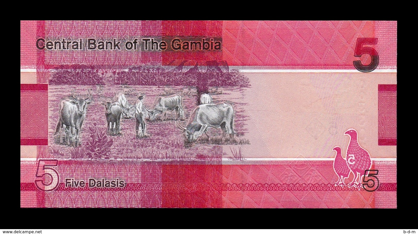 Gambia Lot Bundle 10 Banknotes 5 Dalasis 2019 Pick New Replacement SC UNC - Gambie