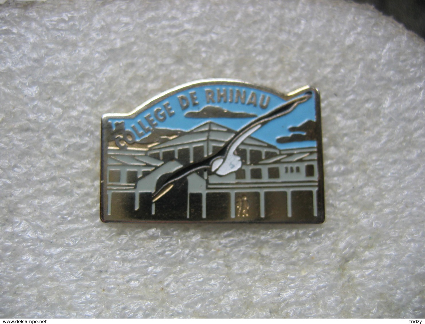 Pin's Du College De La Ville De RHINAU (Dépt 67) - Administración