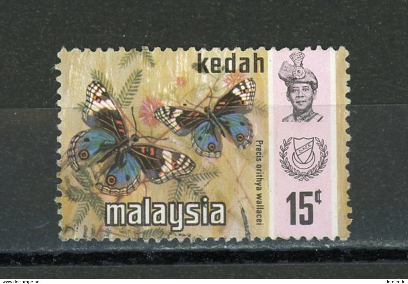 MALAYSIA - KEDAH (GB) : PAPILLON N° Yvert 124a Obli. - Kedah