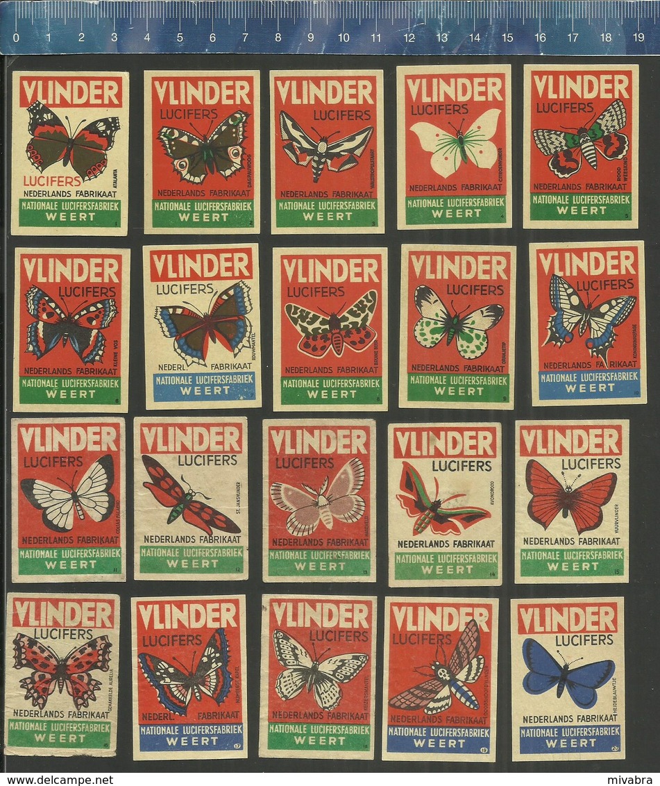 BUTTERFLIES PAPILLONS VLINDERS SCHMETTERLINGE MARIPOSAS VLINDER PAPILLON DUTCH Matchbox Labels - Matchbox Labels