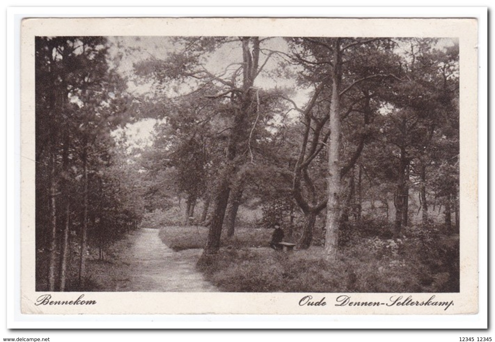 Bennekom, Oude Dennen-Selterskamp - Bloemendaal