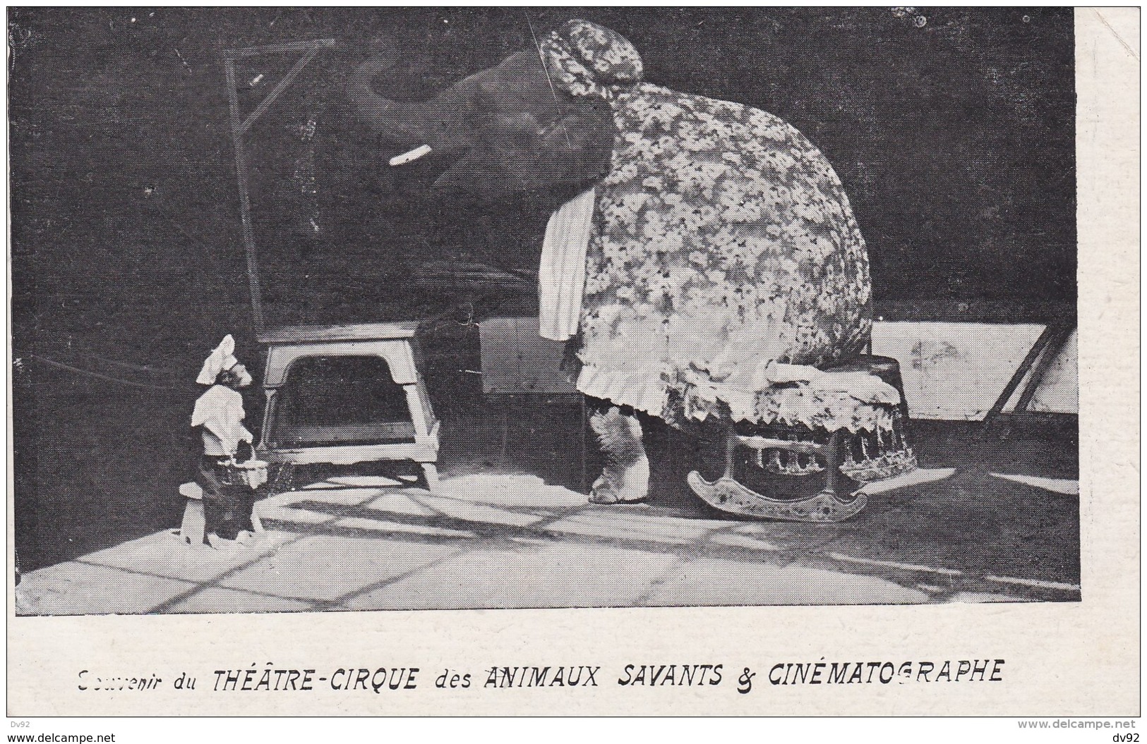 SOUVENIR DU THEATRE CIRQUE DES ANIMAUX SAVANTS ET CINEMATOGRAPHE - Cirque