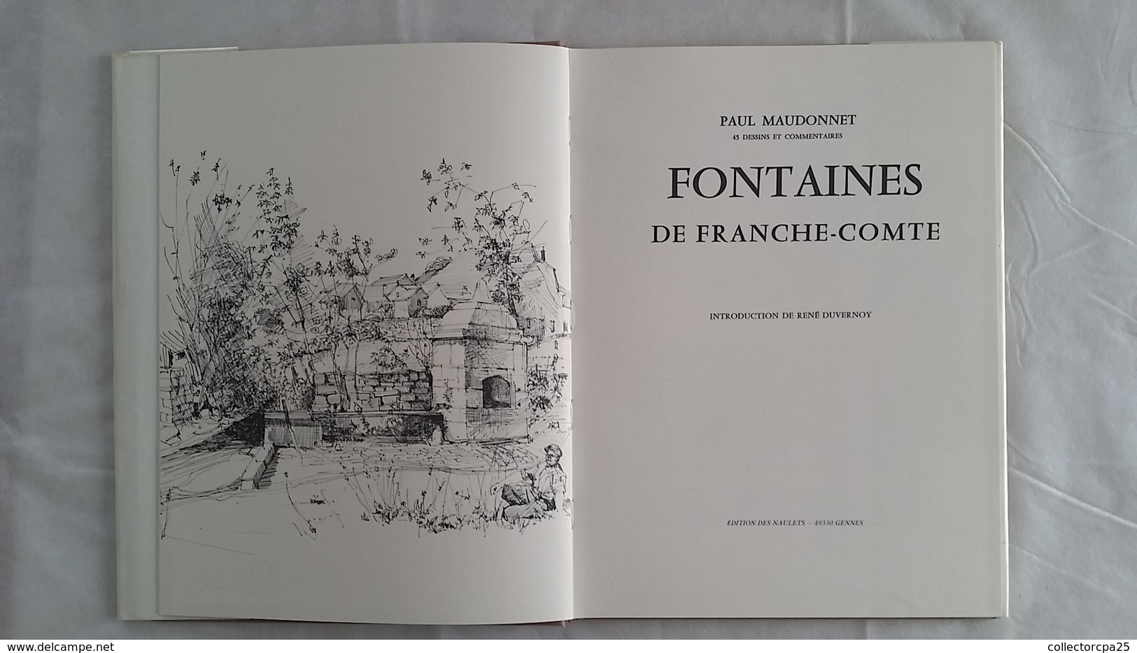 Livre Fontaines De Franche-Comté Doubs Besançon 45 Illustrations De Paul Maudonnet René Duvernoy - Franche-Comté