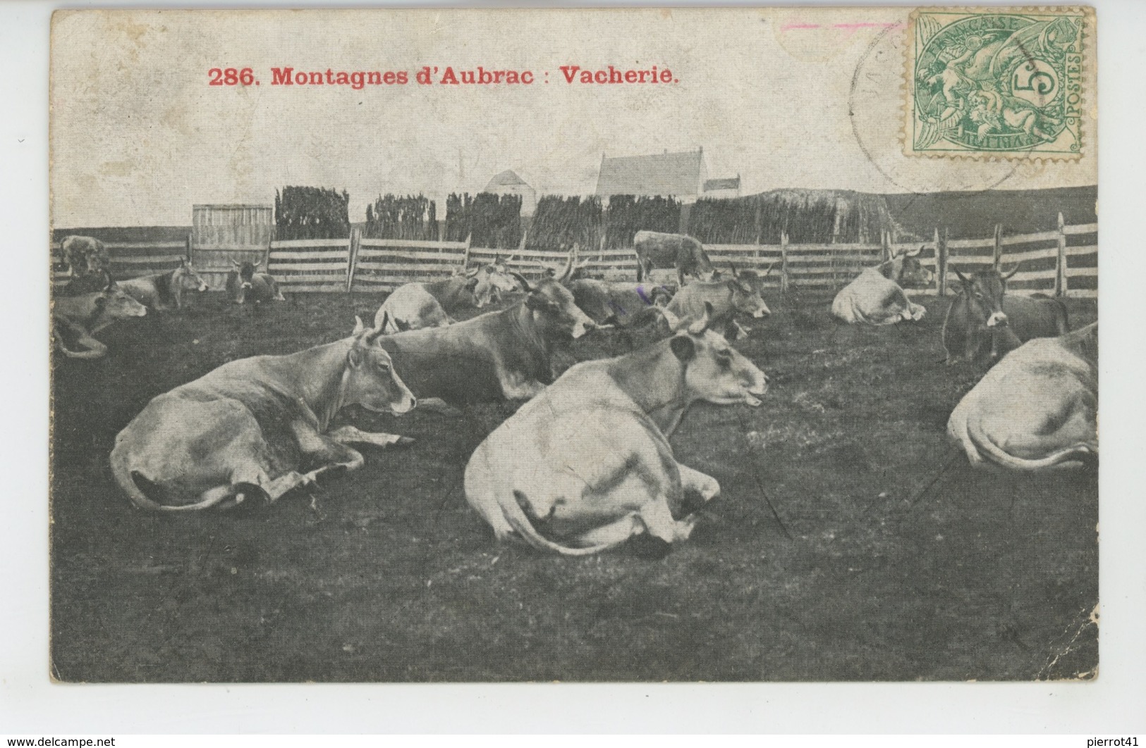 MONTAGNES D'AUBRAC : Vacherie (carte Postée à NASBINALS - LOZERE En 1907) - Altri & Non Classificati