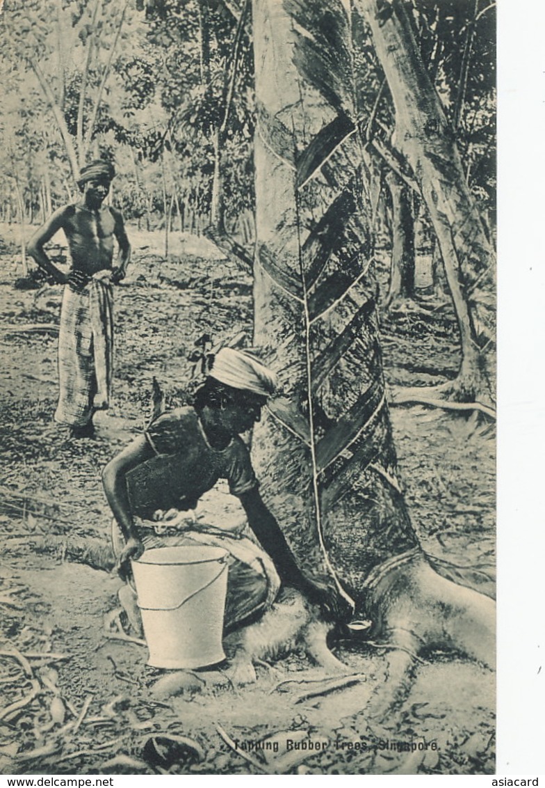 Tapping Rubber Trees  Hevea Caoutchouc The Continental Stamp Company. Hindu - Malaysia