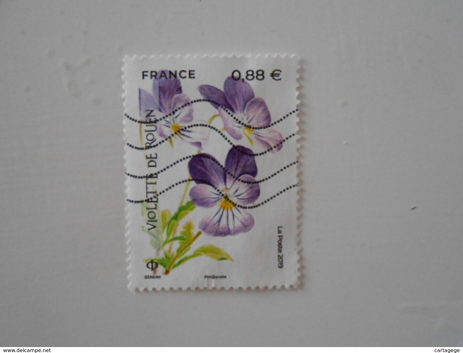 FRANCE NOUVEAUTE 2019 - VIOLETTE DE ROUEN - Gebraucht