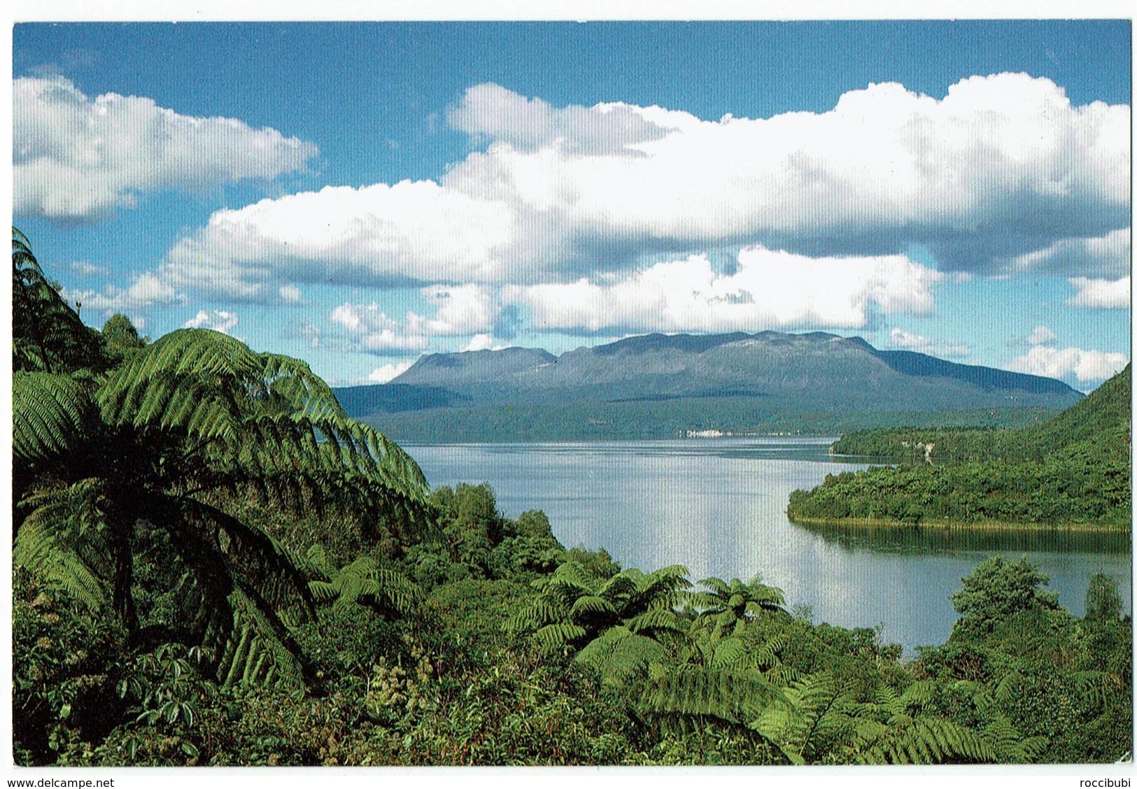 Neuseeland, New Zealand, Lake Tarawera, Rotorua, North Island - Nieuw-Zeeland