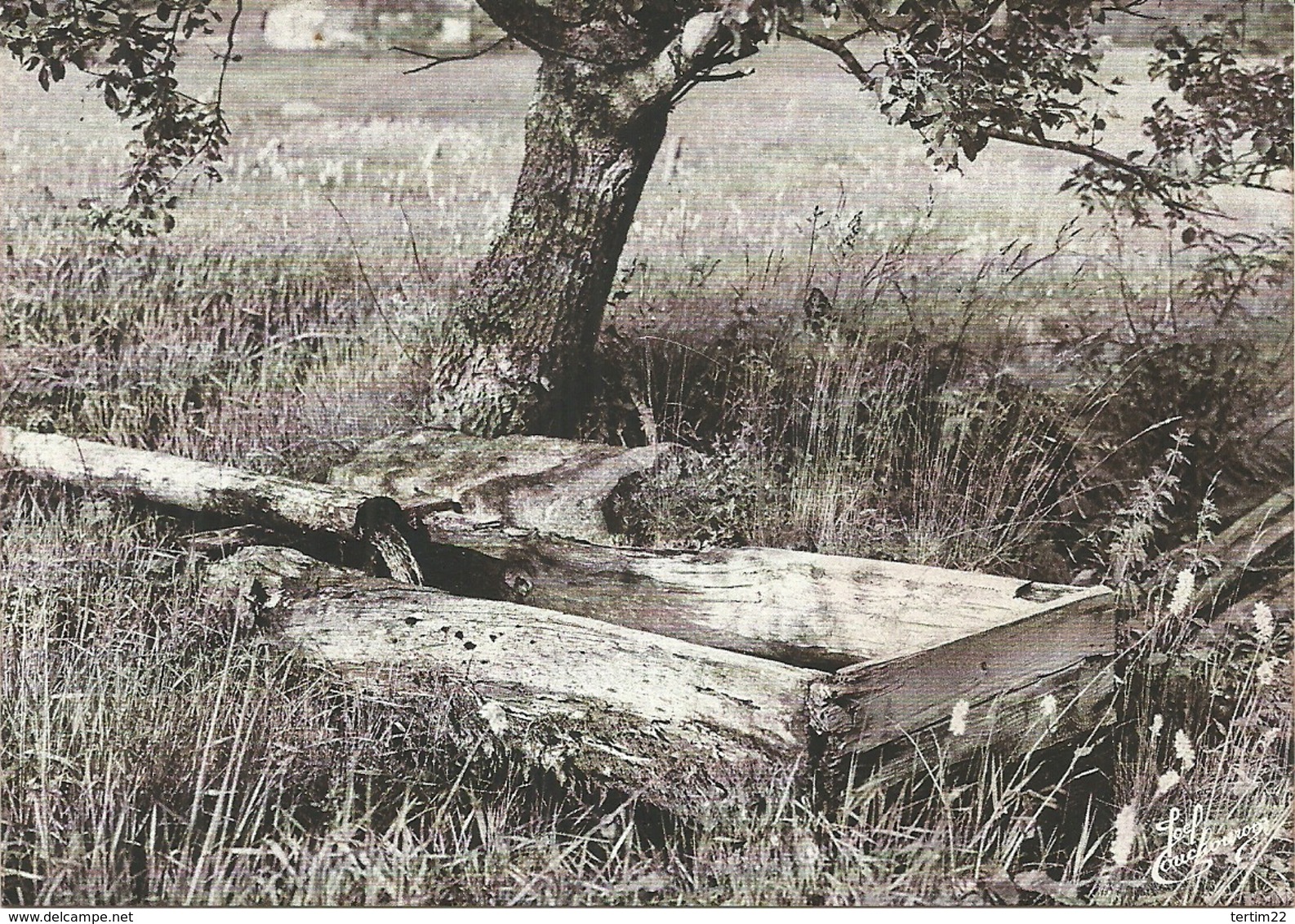 (LES VIEUX METIERS  )( LE BASSIN EN BOIS  ) ( 88 VOSGES ) - Granja