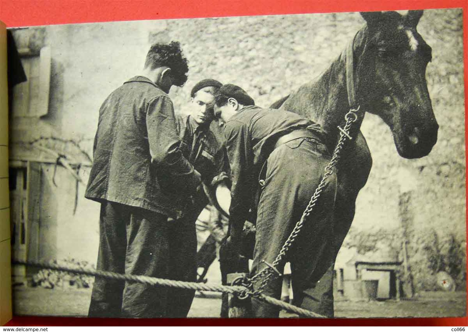 ww2 Carnet Francisque Jeunes au Travail 10 cartes Jeunes compagnons de France Centre jeunes Travailleurs CJF Mal Pétain