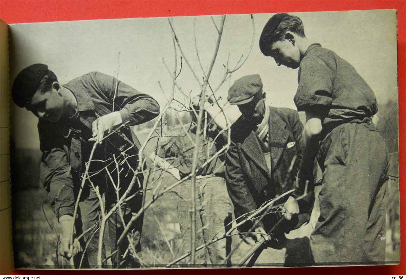 ww2 Carnet Francisque Jeunes au Travail 10 cartes Jeunes compagnons de France Centre jeunes Travailleurs CJF Mal Pétain