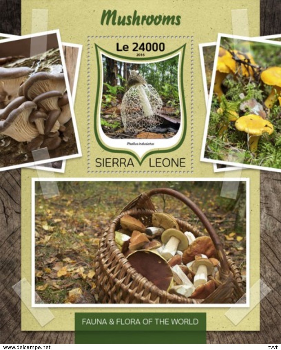 Sierra Leone, 2016. [srl16804] Mushrooms (s/s+block) - Sonstige & Ohne Zuordnung