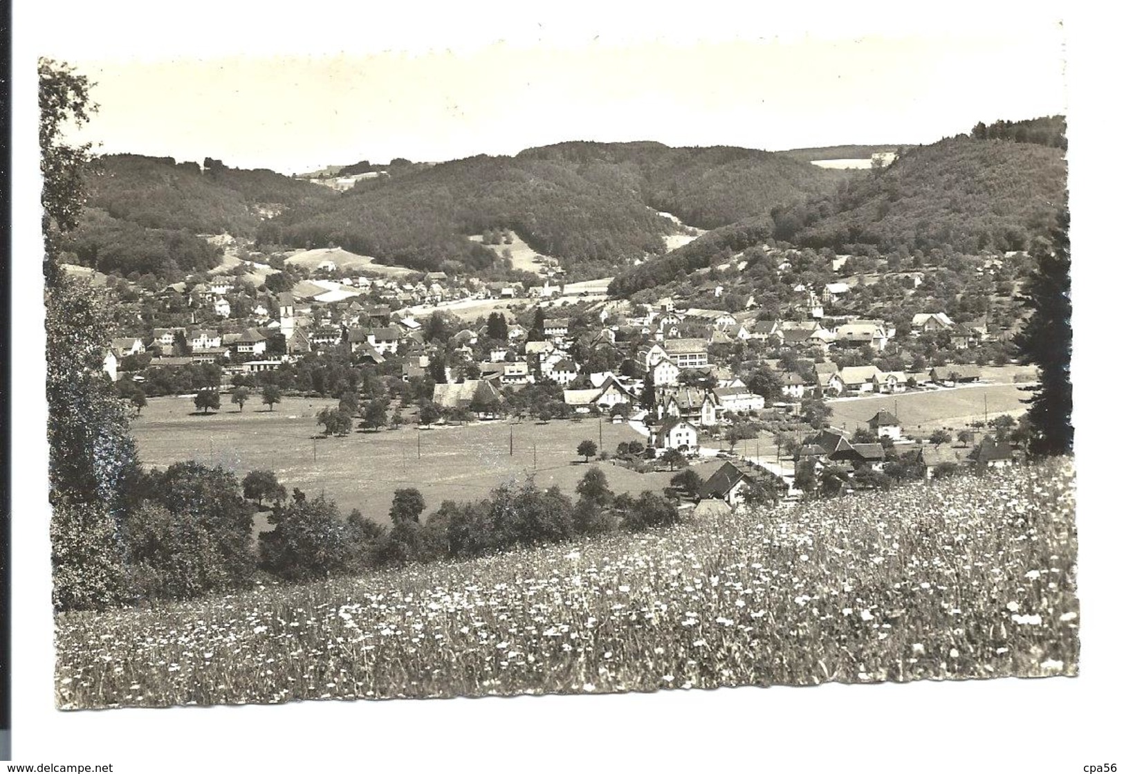 SCHÖFTLAND (Aaargau) - Sonstige & Ohne Zuordnung