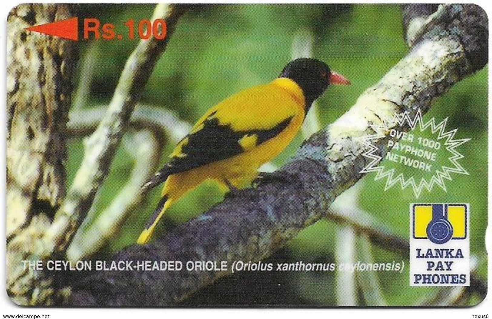 Sri Lanka - Lanka Pay Phones (GPT) - Black-Headed Oriole - 44SRLC - 100Rs, Used - Sri Lanka (Ceylon)