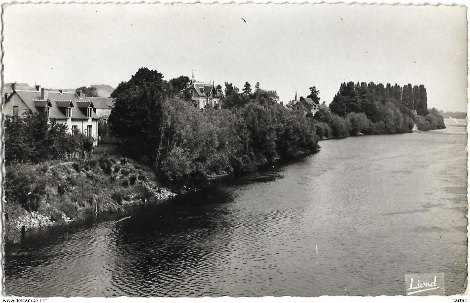 D49 - BEHUARD - LES VILLAS AU BORD DE LA LOIRE VERS LA CHAPELLE - CPSM Dentelée Petit Format En Noir Et Blanc - Autres & Non Classés