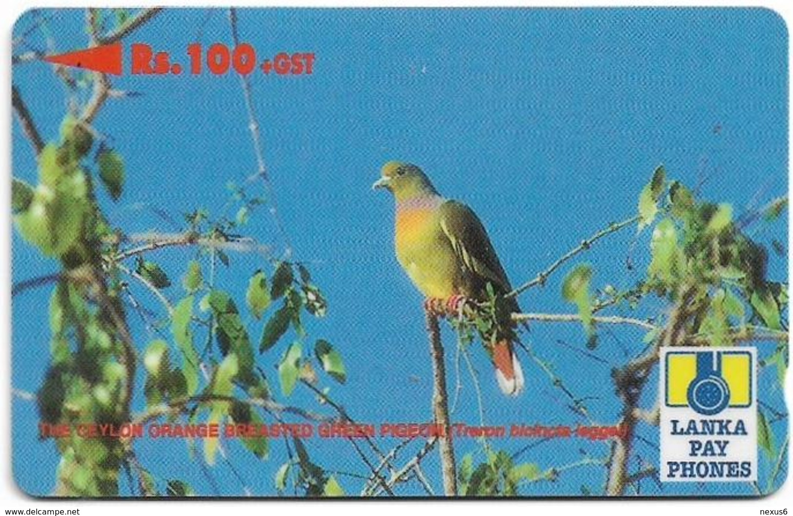 Sri Lanka - Lanka Pay Phones (GPT) - Orange Breasted Green Pigeon - 37SRLE - 100Rs, Used - Sri Lanka (Ceylon)