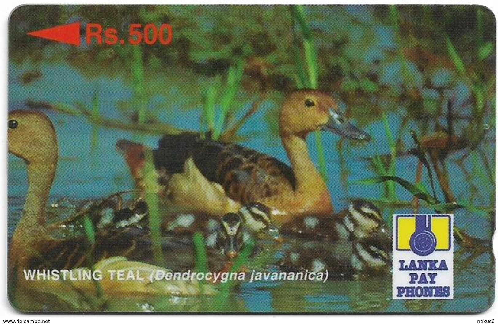 Sri Lanka - Lanka Pay Phones (GPT) - Whistling Teal - 36SRLA - 500Rs, Used - Sri Lanka (Ceylon)