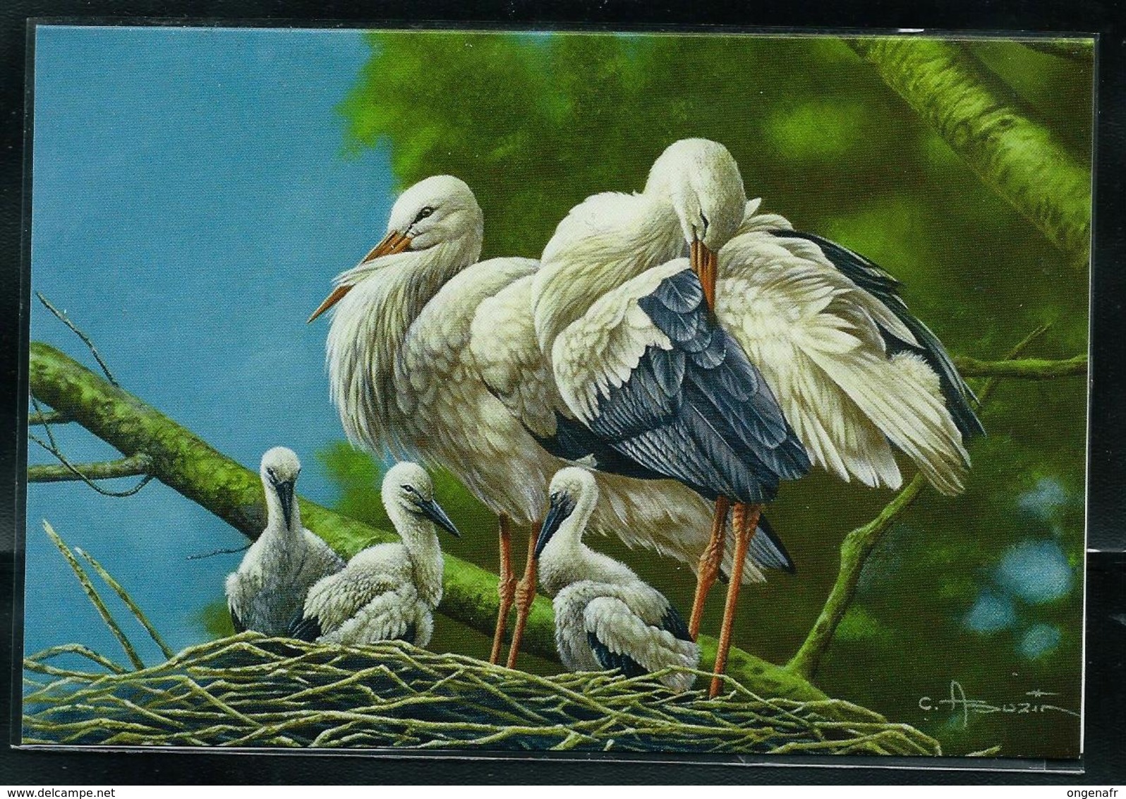 Carte  Blanco (double): Cigognes Blanches - 1985-.. Oiseaux (Buzin)