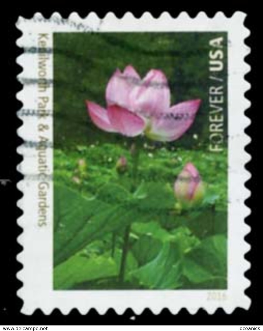 Etats-Unis / United States (Scott No.5080j - National Park Sercice 100e) (o) - Used Stamps