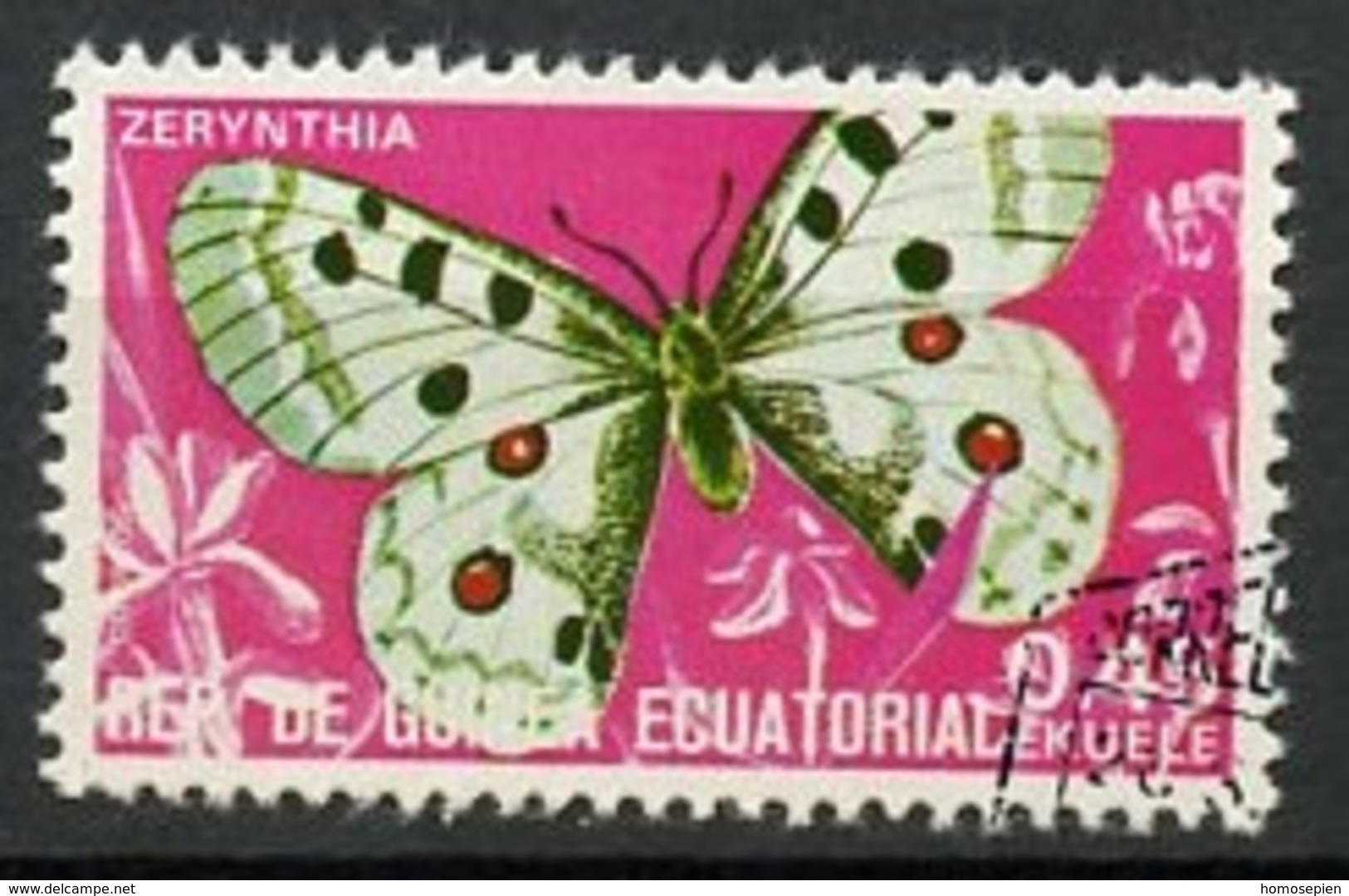 Guinée équatoriale - Guinea 1975 Y&T N°71-0,45e - Michel N°744 (o) - 0,45e Papillon Zérynthia - Guinée Equatoriale