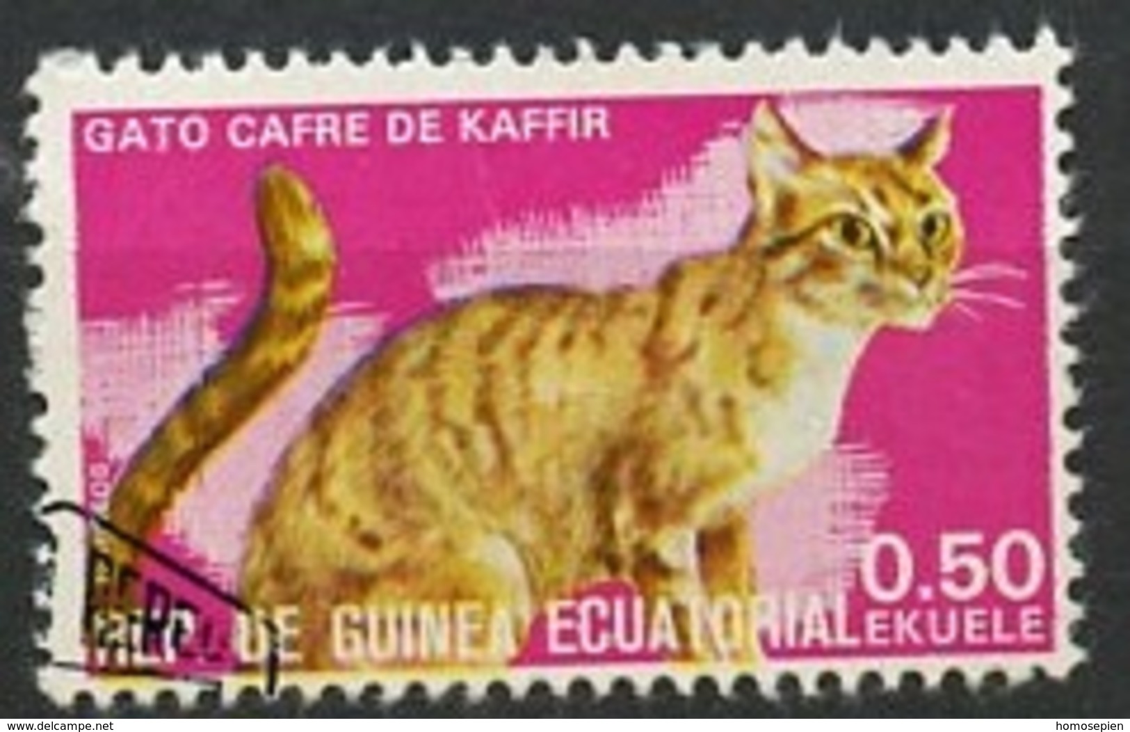 Guinée équatoriale - Guinea 1975 Y&T N°73-0,50e - Michel N°713 (o) - 0,50e Chat Cafre De Kaffir - Guinée Equatoriale