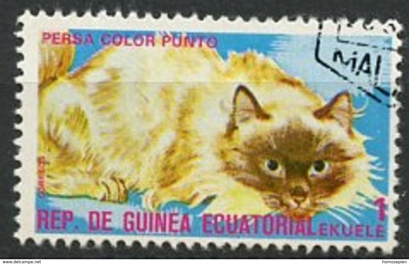 Guinée équatoriale - Guinea 1975 Y&T N°73-1e - Michel N°717 (o) - 1e Chat Persan - Guinée Equatoriale