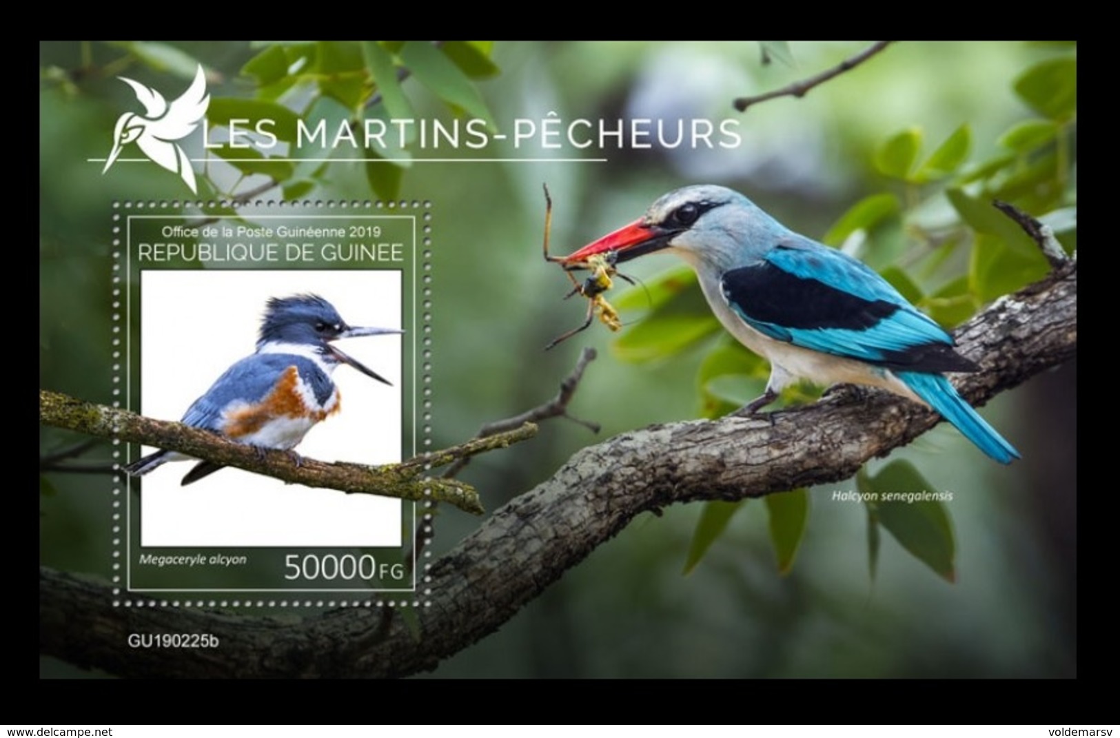 Guinea 2019 Mih. 13733 (Bl.2378) Fauna. Birds. Kingfishers MNH ** - Guinee (1958-...)