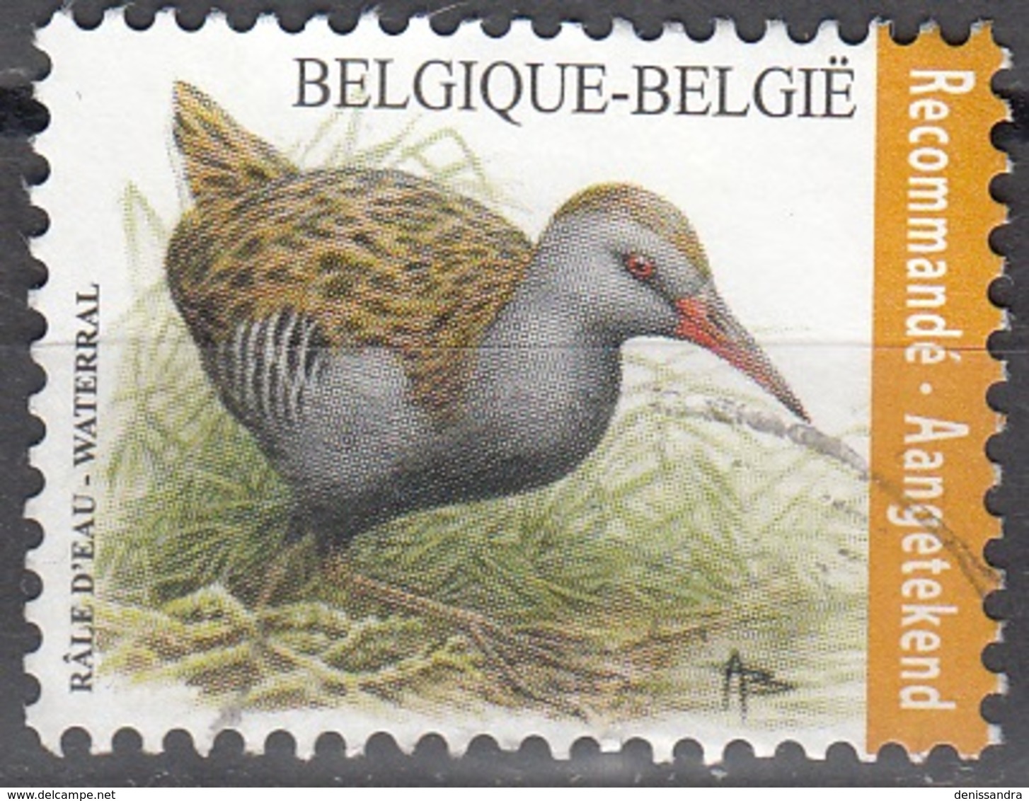 Belgique 2017 Râle D'Eau O Cachet Rond - Oblitérés